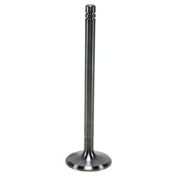 Exhaust Valve