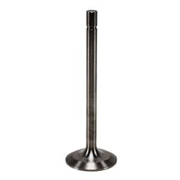 Intake Valve