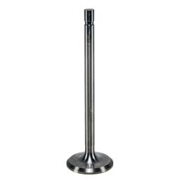 Intake Valve