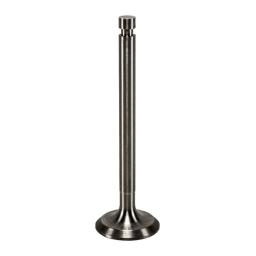 Intake Valve