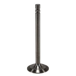 Intake Valve