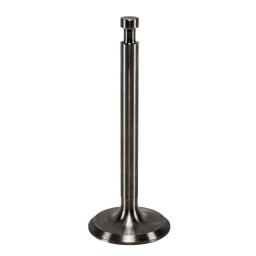 Intake Valve