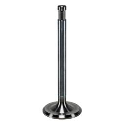 Intake Valve