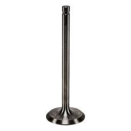 Intake Valve