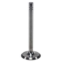 Intake Valve