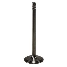 Intake Valve