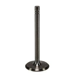 Intake Valve