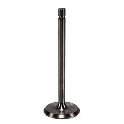 Intake Valve