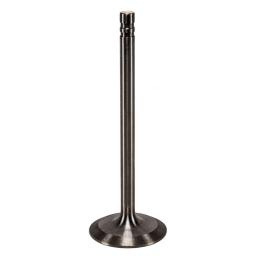 Intake Valve