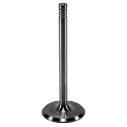 Intake Valve
