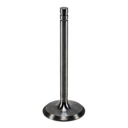 Intake Valve