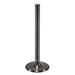 Intake Valve