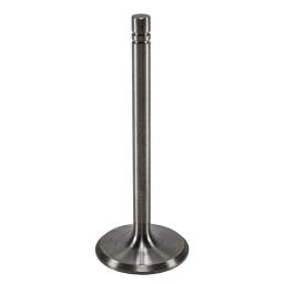 Intake Valve
