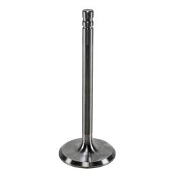 Intake Valve