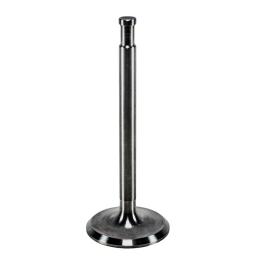 Intake Valve
