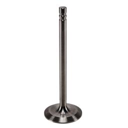 Intake Valve