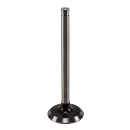 Intake Valve