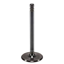 Intake Valve