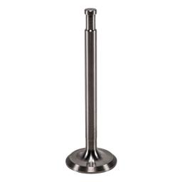 Intake Valve