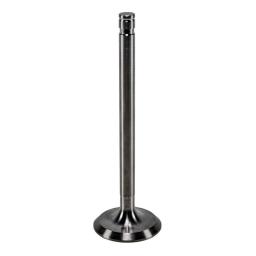 Intake Valve