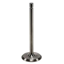 Intake Valve
