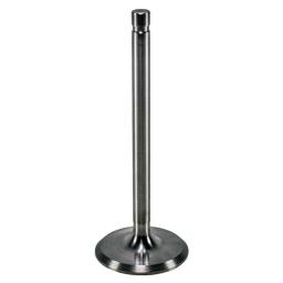 Intake Valve