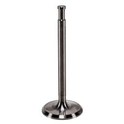 Intake Valve
