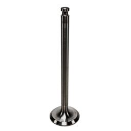 Intake Valve