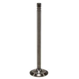 Intake Valve