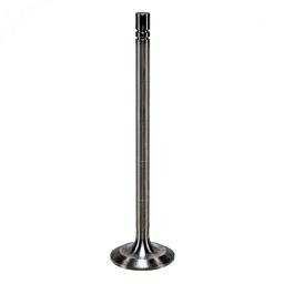 Intake Valve