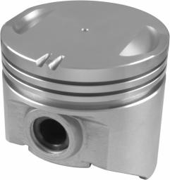 Egge Piston Set with Pins