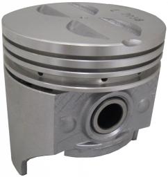 Egge Piston Set with Pins