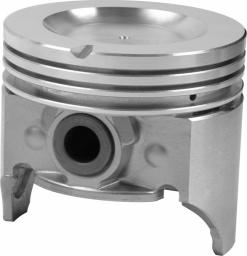 Egge Piston Set with Pins