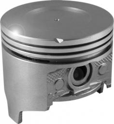 Egge Piston Set with Pins