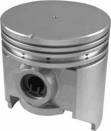 Egge Piston Set with Pins