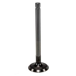Intake and Exhaust Valve