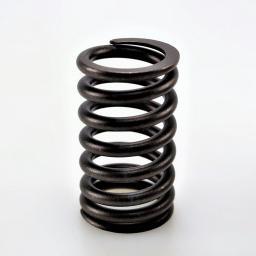 Valve Spring