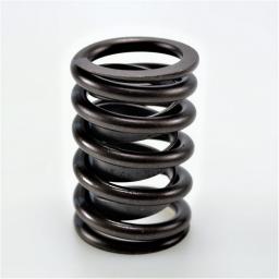 Valve Spring