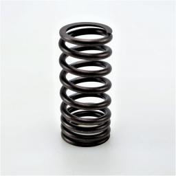 Valve Spring