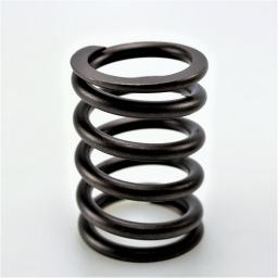 Valve Spring