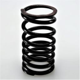 Valve Spring