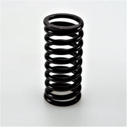 Valve Spring