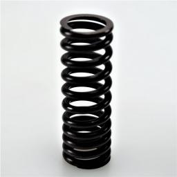 Valve Spring
