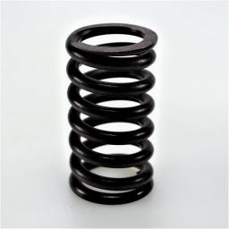 Valve Spring