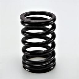 Valve Spring