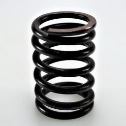 Valve Spring