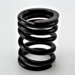 Valve Spring