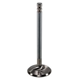 Exhaust Valve
