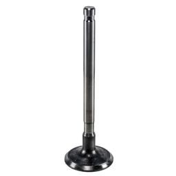 Exhaust/Intake Valves