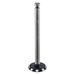 Exhaust Valve